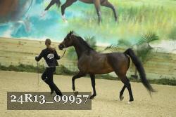 24R13_09957 thumbnail