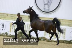 24R13_09958 thumbnail
