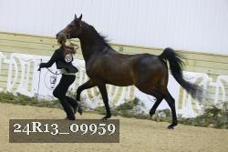 24R13_09959 thumbnail