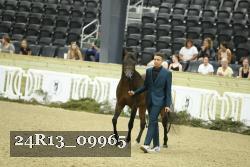 24R13_09965 thumbnail