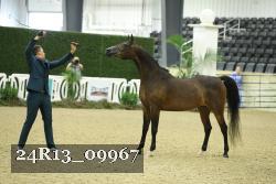 24R13_09967 thumbnail