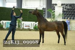 24R13_09968 thumbnail