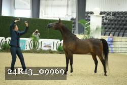 24R13_09969 thumbnail