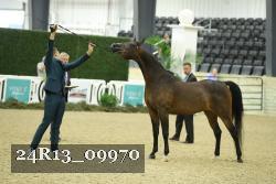 24R13_09970 thumbnail