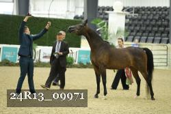 24R13_09971 thumbnail