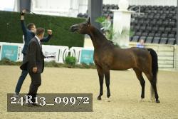 24R13_09972 thumbnail