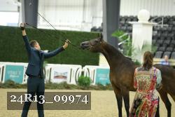 24R13_09974 thumbnail