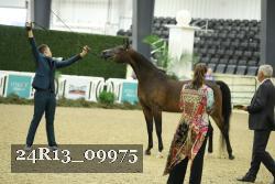 24R13_09975 thumbnail