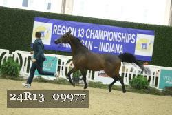 24R13_09977 thumbnail