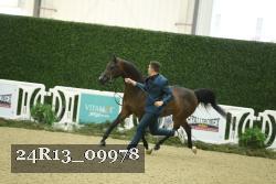 24R13_09978 thumbnail