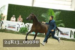 24R13_09980 thumbnail