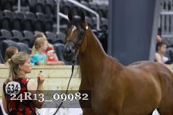 24R13_09982 thumbnail