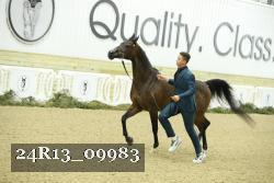 24R13_09983 thumbnail
