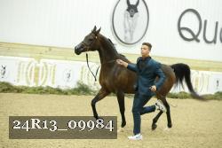 24R13_09984 thumbnail