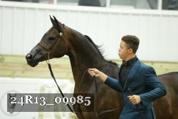 24R13_09985 thumbnail