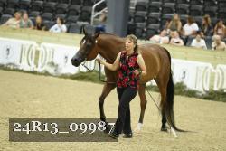 24R13_09987 thumbnail