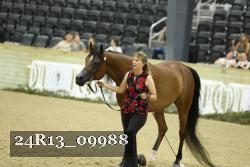 24R13_09988 thumbnail
