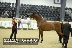24R13_09990 thumbnail