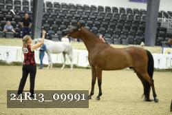 24R13_09991 thumbnail