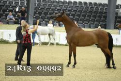 24R13_09992 thumbnail
