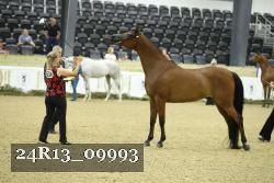 24R13_09993 thumbnail