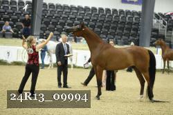 24R13_09994 thumbnail