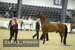 24R13_09996 thumbnail