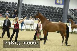 24R13_09997 thumbnail