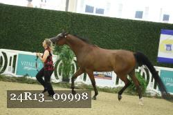 24R13_09998 thumbnail