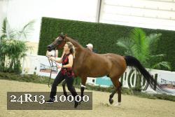 24R13_10000 thumbnail