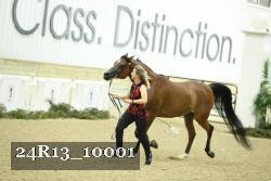 24R13_10001 thumbnail