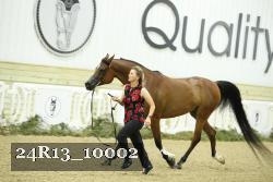 24R13_10002 thumbnail