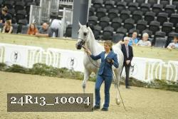 24R13_10004 thumbnail