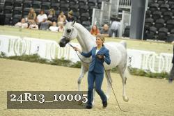 24R13_10005 thumbnail