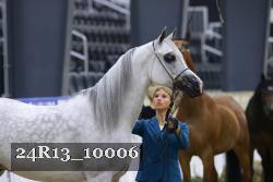 24R13_10006 thumbnail