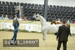 24R13_10007 thumbnail