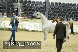 24R13_10008 thumbnail