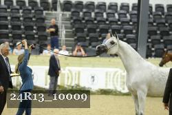 24R13_10009 thumbnail