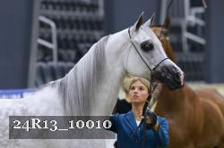 24R13_10010 thumbnail