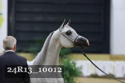24R13_10012 thumbnail