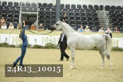 24R13_10015 thumbnail