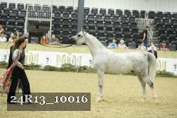 24R13_10016 thumbnail