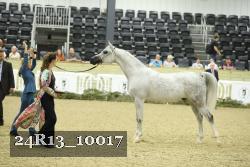 24R13_10017 thumbnail