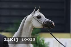 24R13_10018 thumbnail