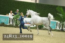 24R13_10019 thumbnail