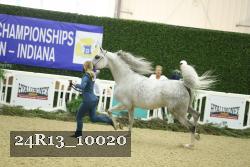 24R13_10020 thumbnail