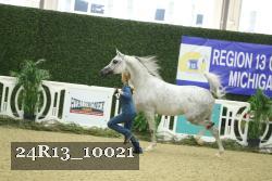 24R13_10021 thumbnail