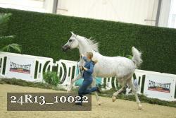 24R13_10022 thumbnail