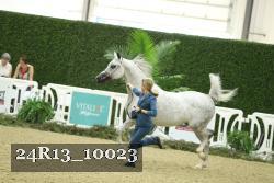 24R13_10023 thumbnail
