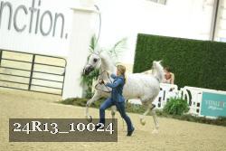 24R13_10024 thumbnail